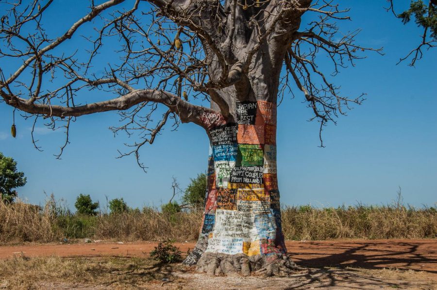 A lone baobab stands alone in the desert. The bark is painted by those that have passed through, highlighting its sentiment and unique impact on guides and natives alike.