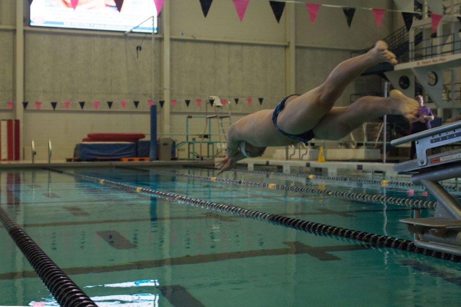 Boys swim competed in GACs. Some boys qualified for State and are anxious for what it holds.