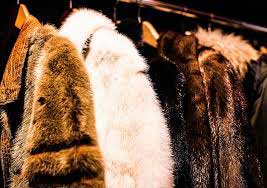 A rack of faux fur coats are being prepared to be worn.