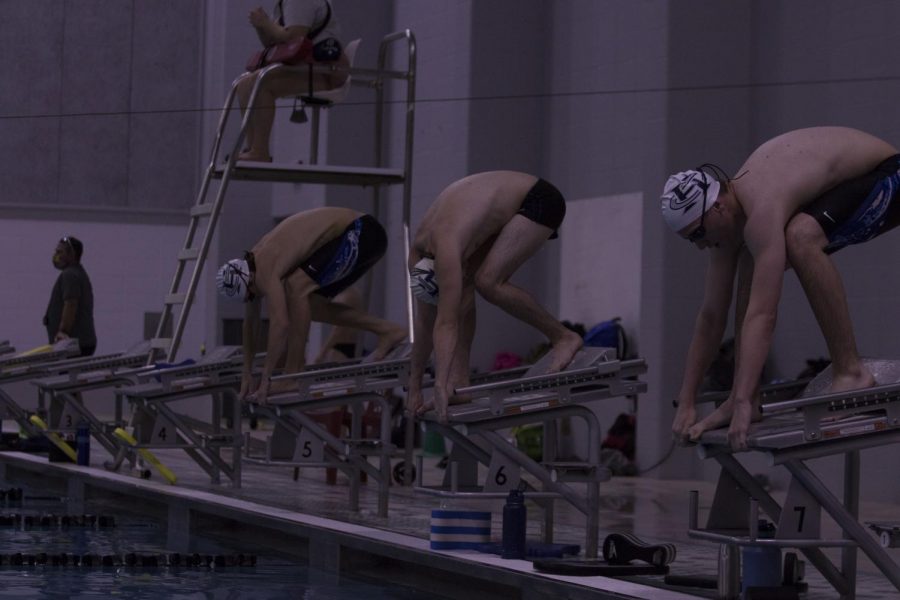 The boys swim team prepared to dive into the pool during a practice. The practice was a night that was supposed to be a meet but the meet got cancelled.