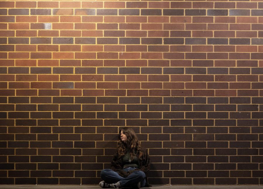 Sophomore+Hailey+Bennett+is+leaning+against+a+large+brick+wall%2C+thinking+about+life.+I+took+this+photo+on+the+wall+of+Central+Elementary+School%2C+and+I+like+this+photo+because+of+the+different+levels+of+lighting+and+because+of+how+Hailey+is+still+the+focus+in+the+shot.