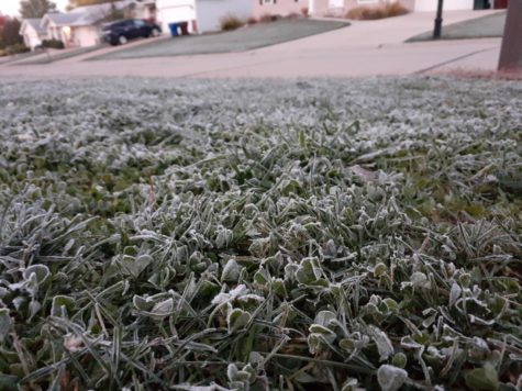 Frost covers the grassy ground in a St. Peters neighborhood. With the recent drop into freezing temperatures, this is becoming a much more common sight for students when they wake up in the morning, signaling the arrival of the winter season.