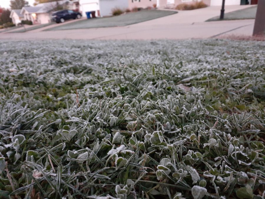 Frost+covers+the+grassy+ground+in+a+St.+Peters+neighborhood.+With+the+recent+drop+into+freezing+temperatures%2C+this+is+becoming+a+much+more+common+sight+for+students+when+they+wake+up+in+the+morning%2C+signaling+the+arrival+of+the+winter+season.