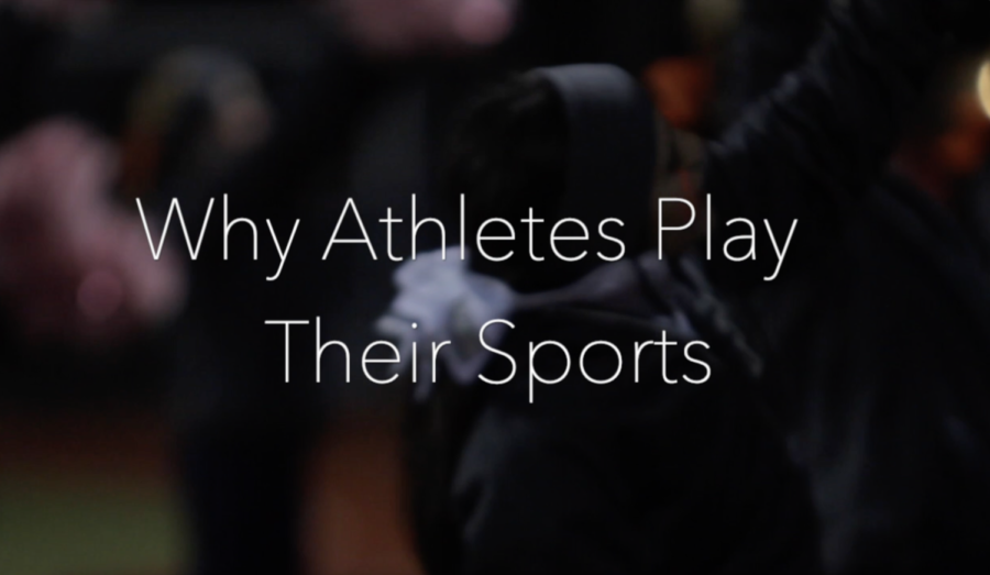 Why Athletes Play Their Sports