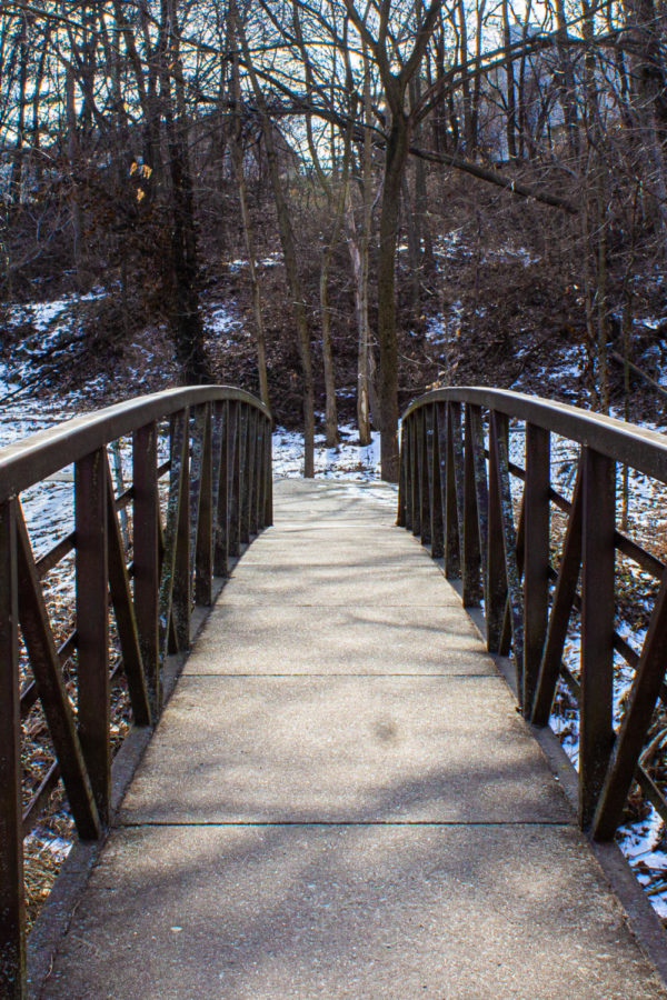 A bridge connects two sides of a trail. Though the bridge only exists to create a path across the water, when viewed through the right lense it can be as interesting as the scenery around it.