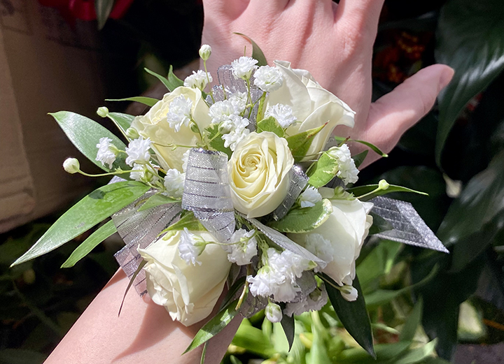 1929 The Hiawatha Book of Crystal Flowers w/ Real Crystal Flower Corsage *