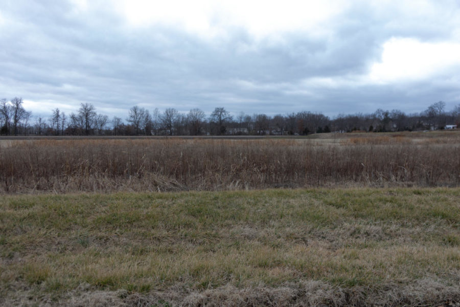 A field like this is the view brings many people to why they feel the way they do in winter. 