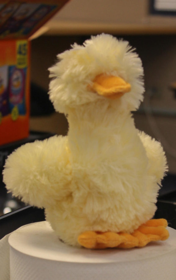 A stuffed duck sits on paper towels waiting to be won.