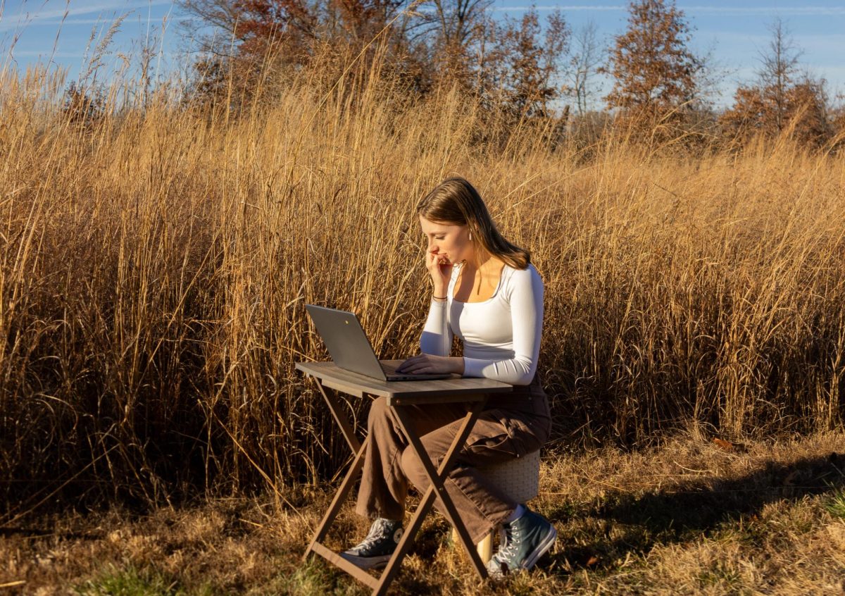A photo of a stranded girl in a field using her computer to study. She focuses while the wind around her moves the plants in the background.