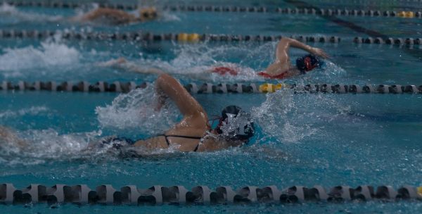 Freshman Jess Woelfel swimming freestyle during the 50yd event against the Holt Indians and Liberty Eagles. The Spartans took second place in the tri-meet on Jan. 18. 