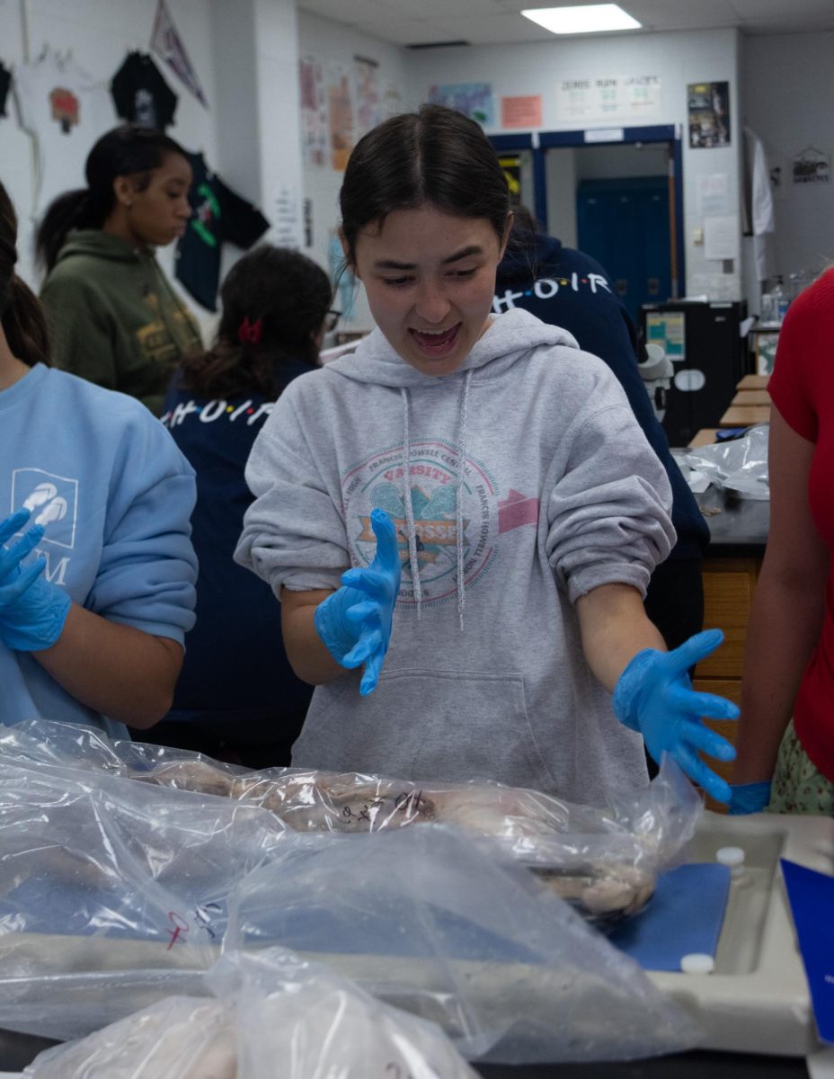 In attempt to remove the cat from it’s bag the formaldehyde juices splashed sophomore Briana Lewis.