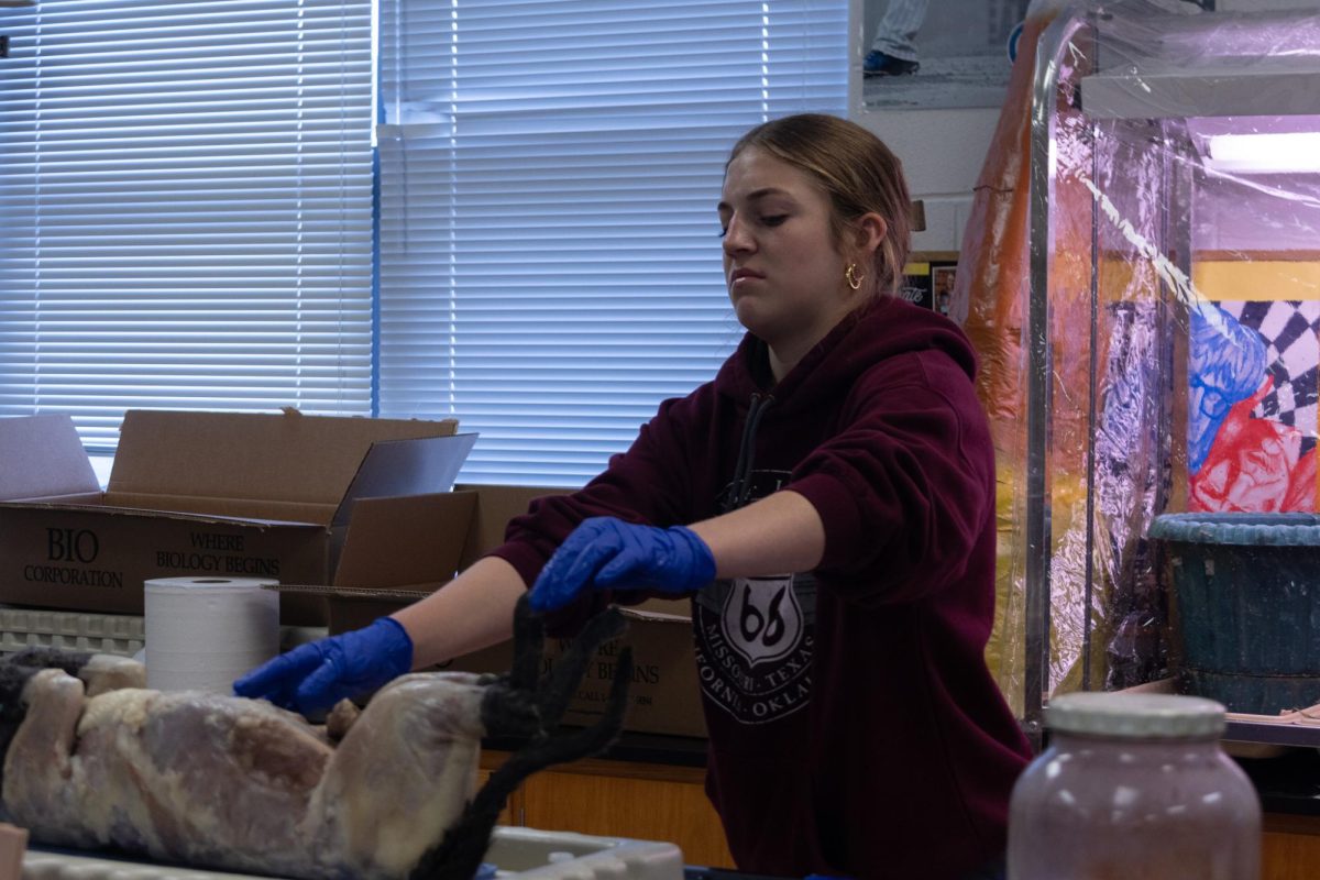 Disgusted, Maya Radelle holds her cat from a distance.