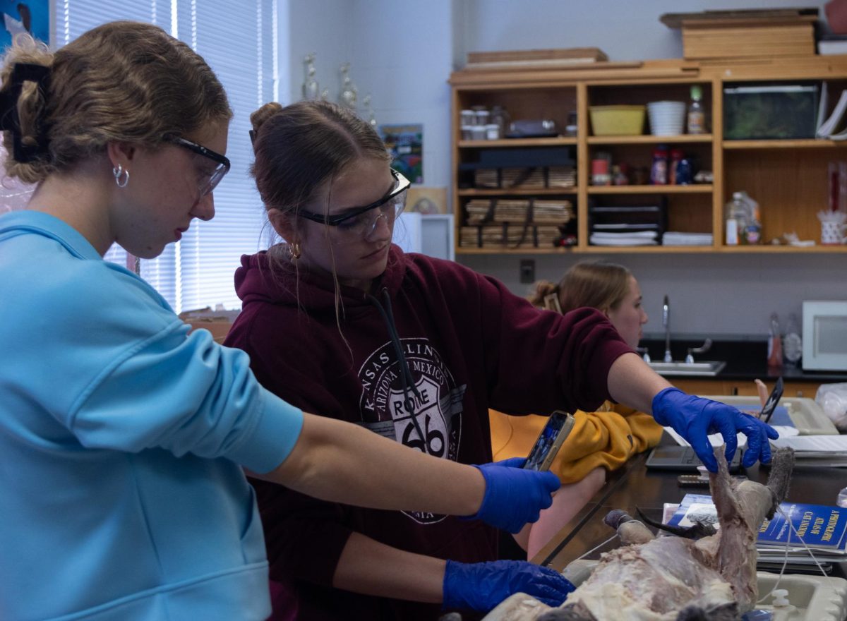 Part of the dissection included taking photos of different parts of the cat to help create a handmade study guide. Here, Maya Radelle and partner Audrey Webb work together.