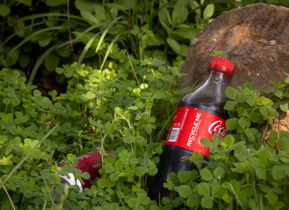 A forgotten bottle of soda labeled “RECYCLE ME” and an energy drink can lay forgotten next to a stone. The sun shines through, showing the beautiful nature, against the man-made pollution within it. 
