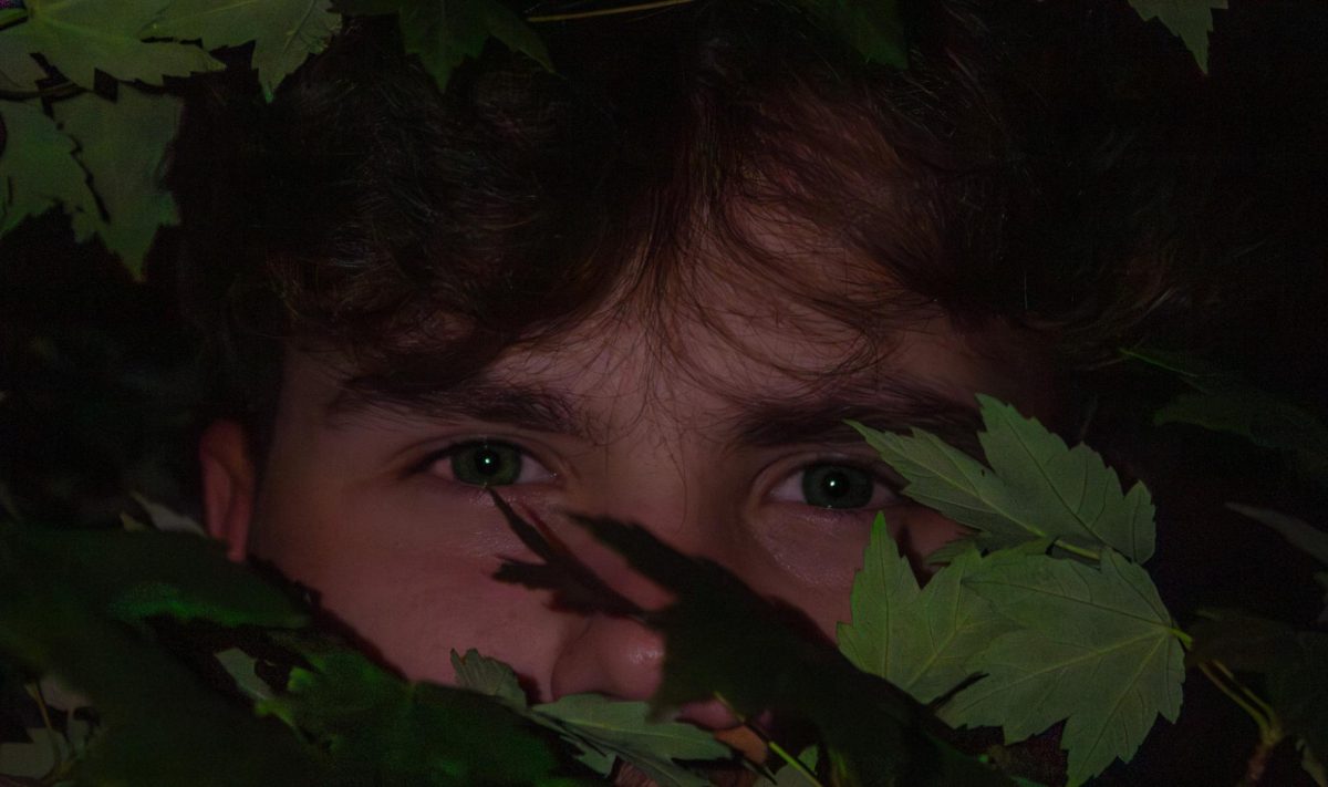 A young man, with bright green eyes, looks out among the trees in the dark shadows. His eyes peek out, leaving the rest of his body and face a mystery. 