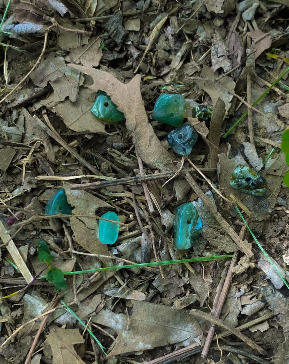 This photo represents the color dark green brought up from nature itself. On a hot sunny afternoon green rocks sit dug up from the ground. 