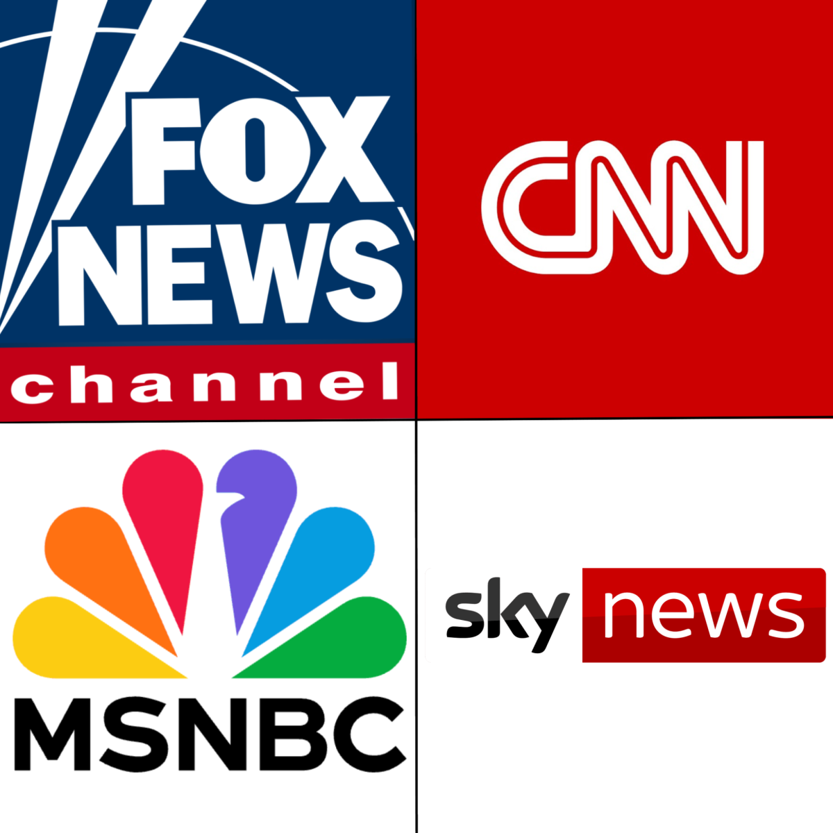 A collage containing the logos of various news networks is delayed including Fox news, CNN, MSNBC, and Sky News.