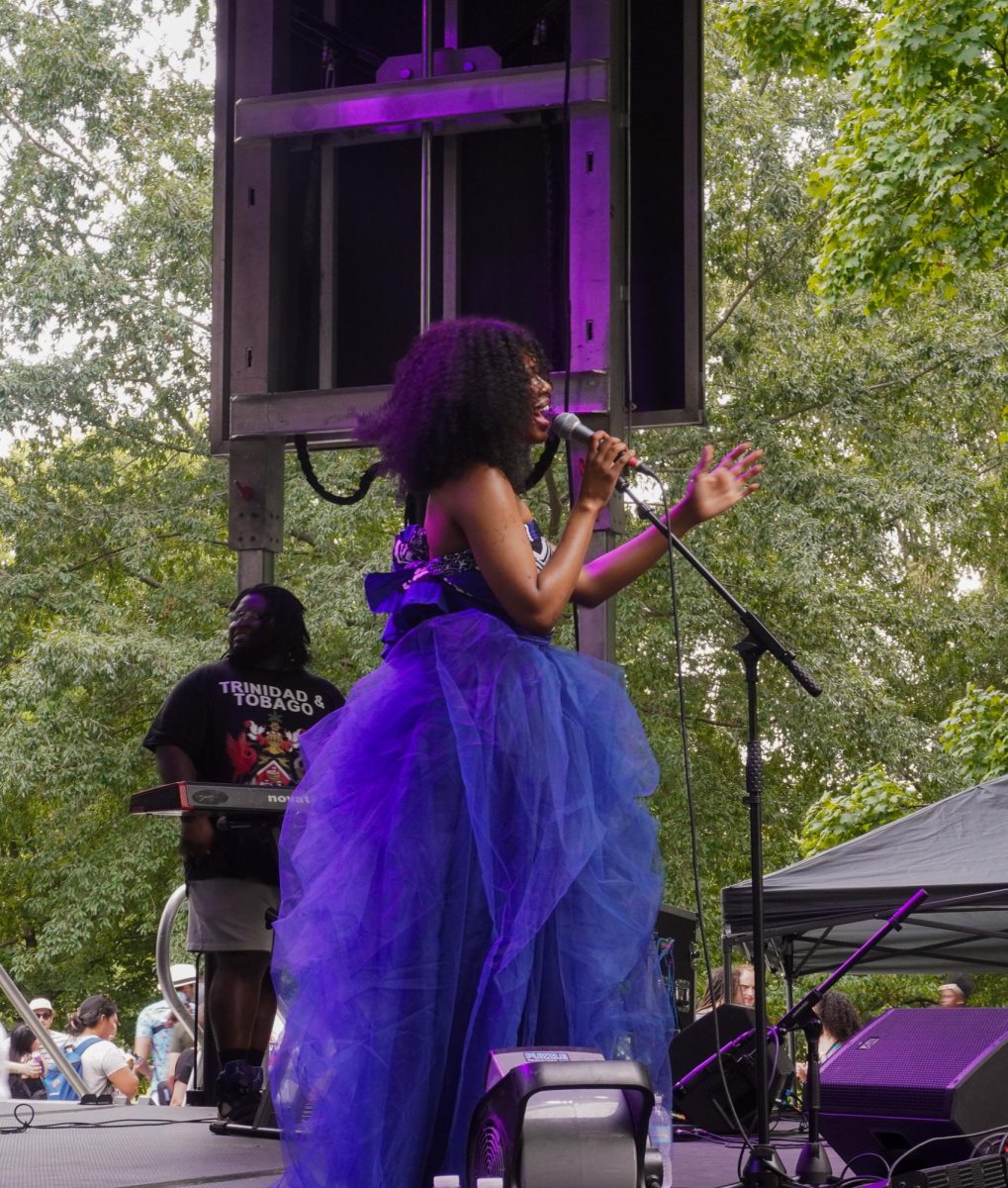 An entertainer performs a song about African-American resilience. From Aug 24-25, the Festival of Nations hosted multiple events that highlighted the cultural diversity of the St Louis area.