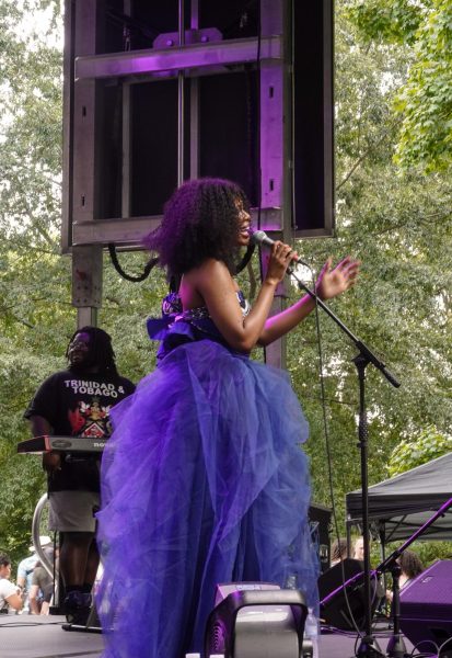 An entertainer performs a song about African American resilience. The Festival of Nations had many people come out to represent their heritage. 