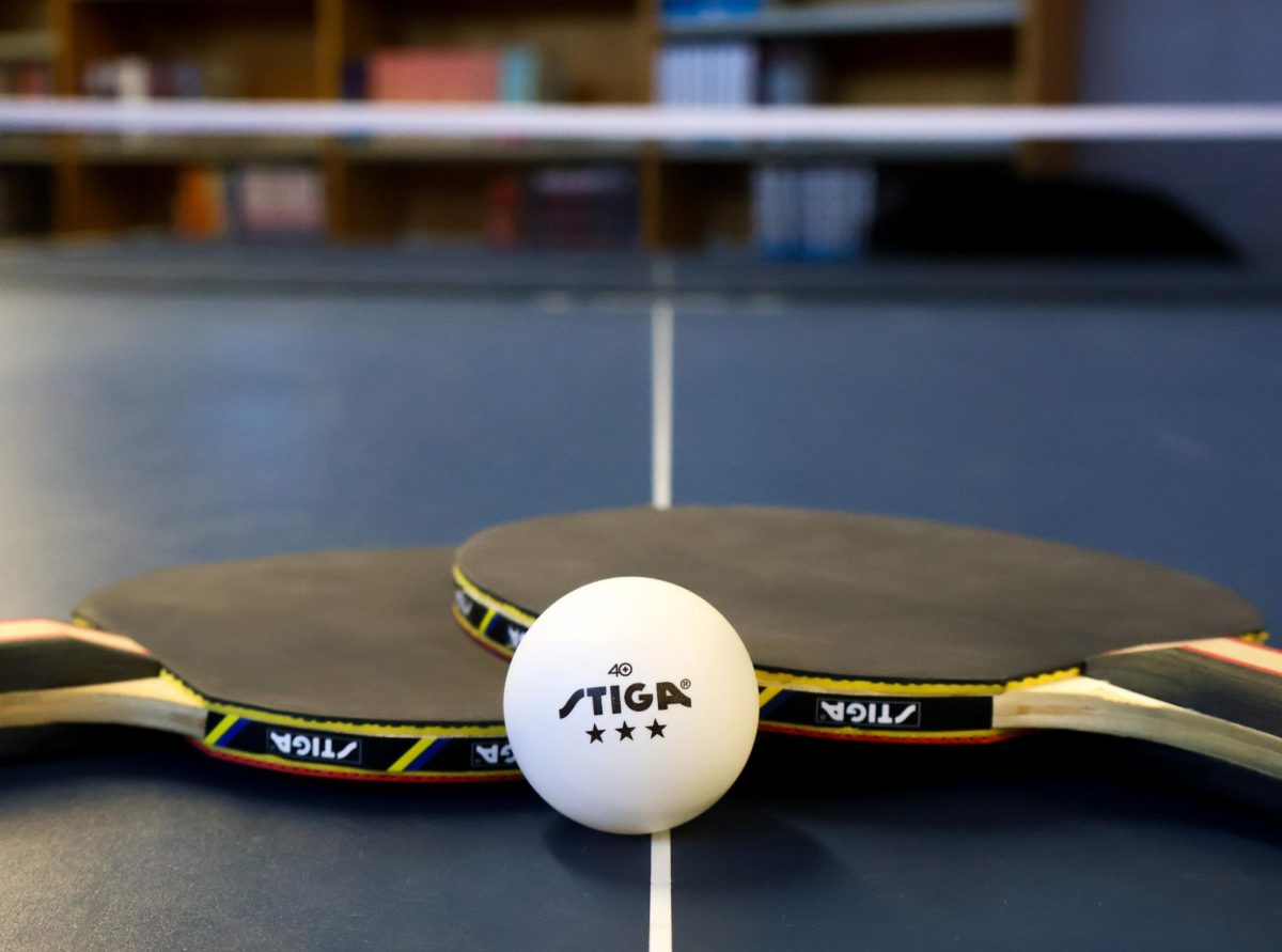 Two paddles lay across each other with a ping-pong ball in the middle. These are the standard issue paddles that club members use, although some like to bring in their own.