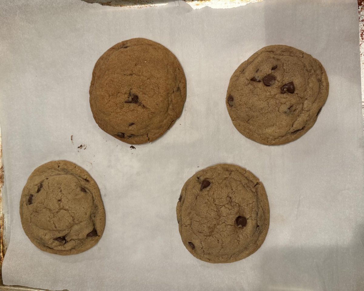 Delectable brown butter chocolate chip cookies. This recipe ought to knock the socks off your AP Government teacher.