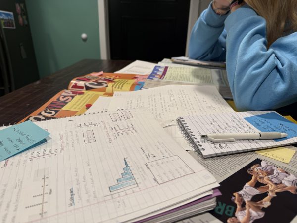 Surrounded by schoolwork and to-do lists, senior Hannah Halterman rests her head in her hands. The stress of balancing school, extracurricular activities, and everyday life can be difficult for students.