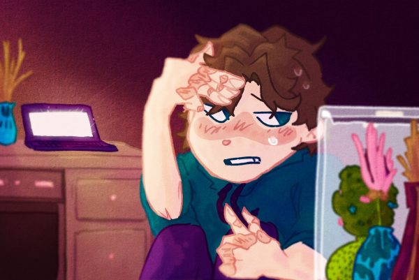 As his computer lights up the room, an ashamed teen shields his eyes from the screen. Pornography has consistently been an issue that high schools come across, addressing the negative implications its effect could have on students.