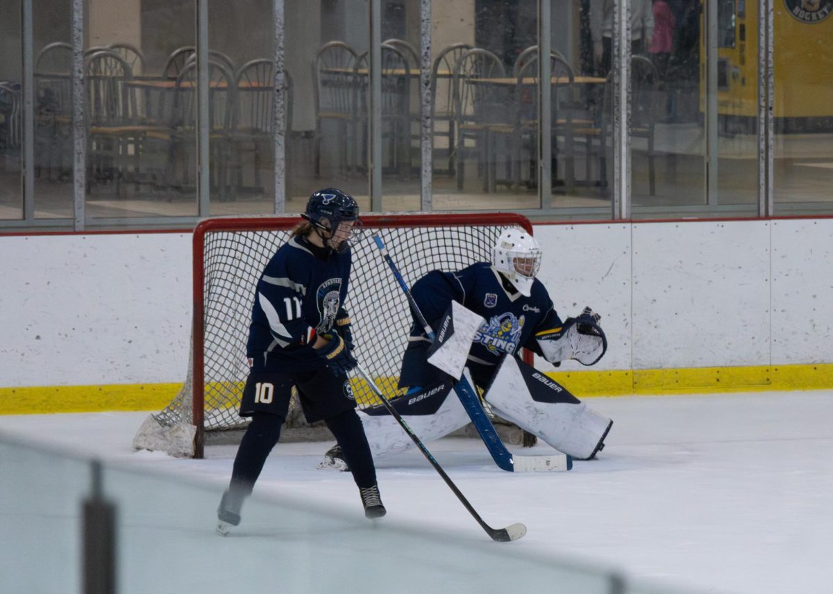 Ready for the puck senior Makenna Vacha and junior William Hackmann guard the goal. There was a fight for the puck on the borders.  
