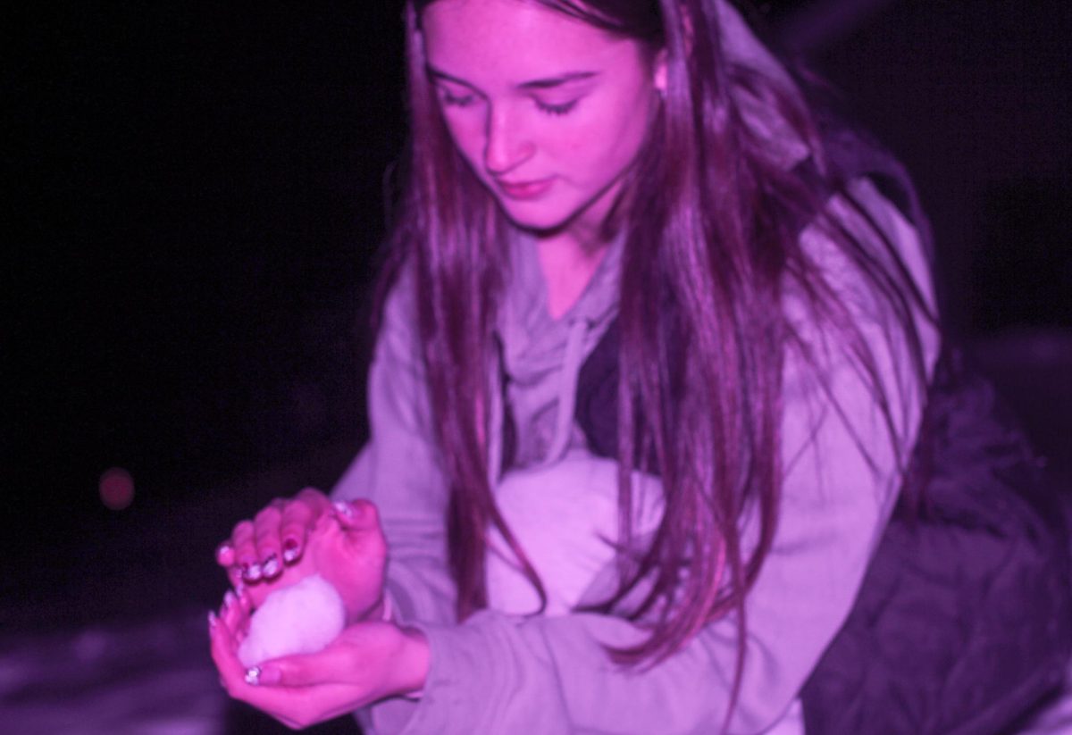 On December 4th, following a heavy snowfall, junior Keeley Welker shapes a handful of snow into a sphere for a snowball fight. After she made the snowball, she launched it at her friends.
