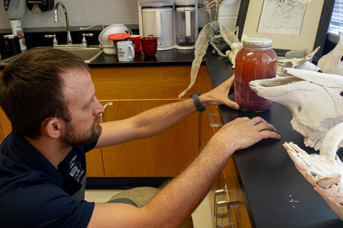 Brian Bitney looks at a preserved animal on the edge of a c counter. Practical examples are one way he engages his students in learning. 